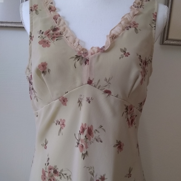 Express Dress - Picture 4 of 5